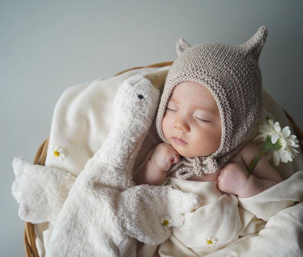 Petite oie blanche bouillotte - Vanille Coton