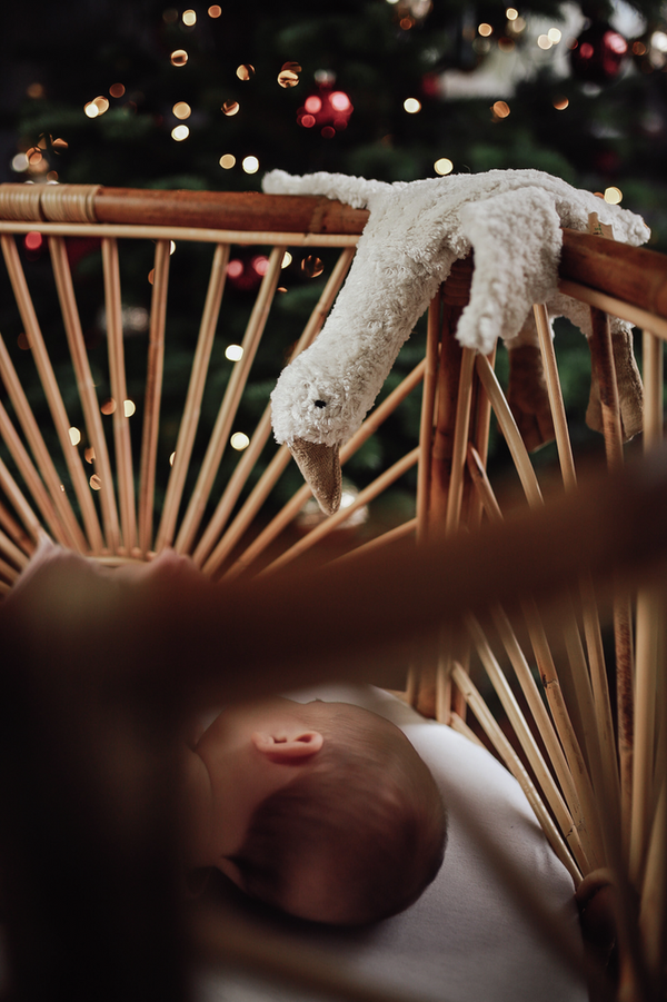 Petite oie blanche bouillotte - Vanille Coton