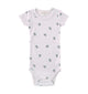 Kit naissance pomme de pin - Vanille Coton